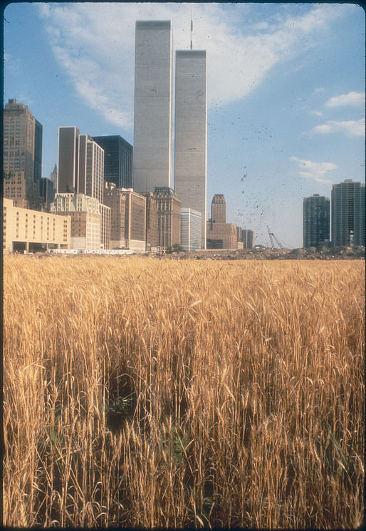 Agnes Denes, Wheatfields for Manhattan, Battery Park Landfill, 1982. Photograph by Donna Svennevik. Courtesy Public Art Fund, NY.