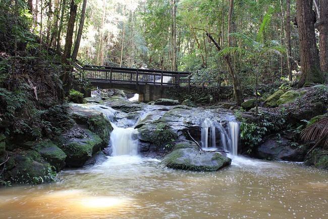 Kondalilla Falls