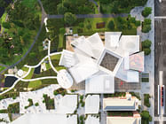 Adelaide Museum Competition Presentation