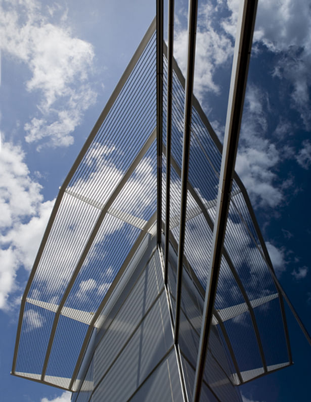 canopy detail