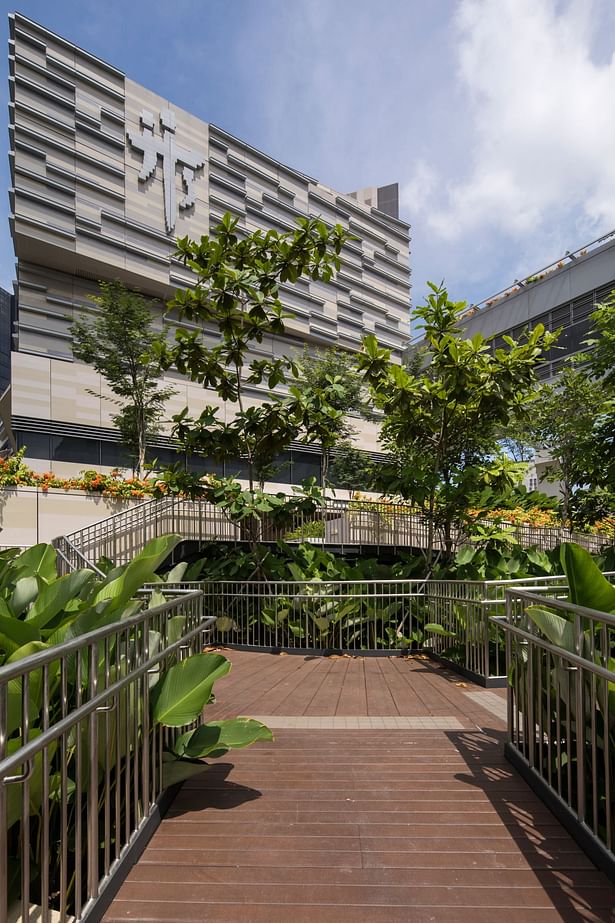 Centre For Healthcare Innovation (Image courtesy of MOH Holdings)