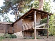 Two-Tree House