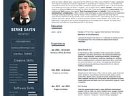 Berke SAYIN - CV / Resume