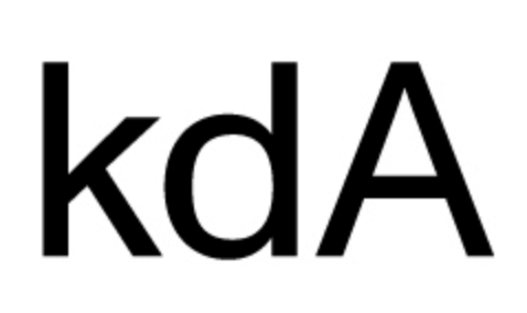 Kevin Daly Architects