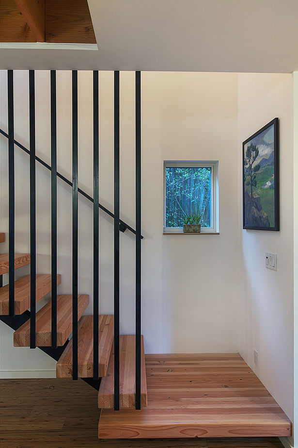 Seward Park Backyard Cottage (Photo: Cleary O’Farrell) 