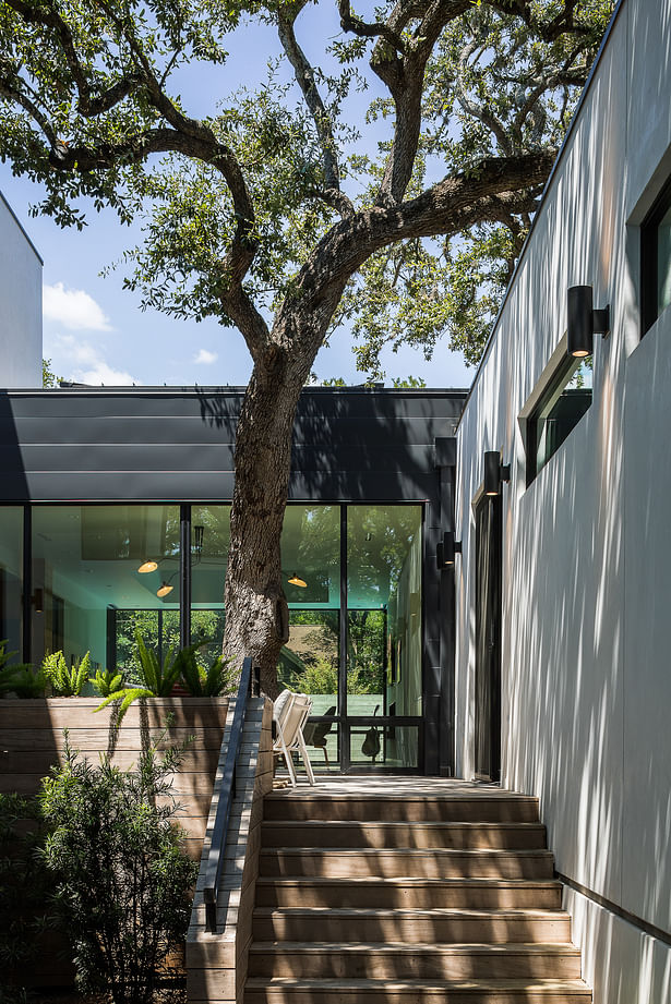 Windsor Residence by Dick Clark + Associates, Photo by Jake Holt