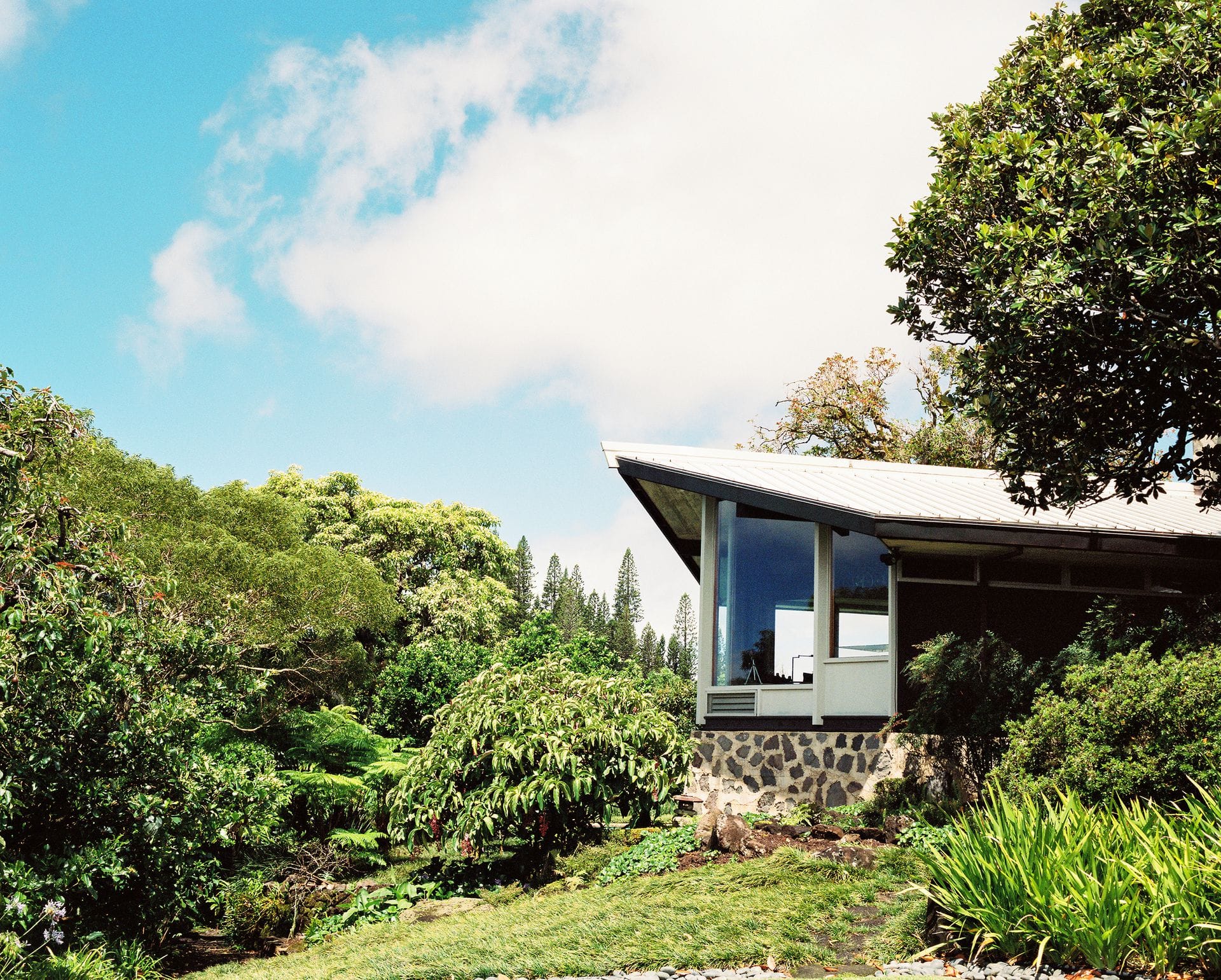 What is Tropical Modernism, and how did it find its way to Hawaii
