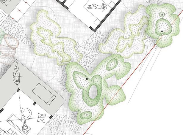 Architect's AutoCAD plans imported in Illustrator for presentation drawing embellishment 