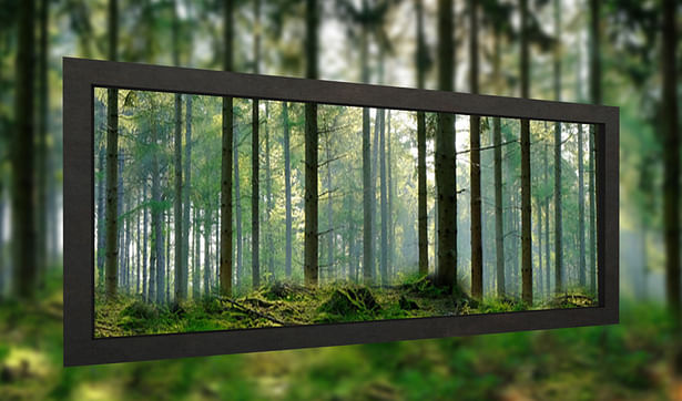 Window in the Forrest