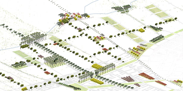 Axonometric depicting an expanding city of botanical identity and cultural appropriation