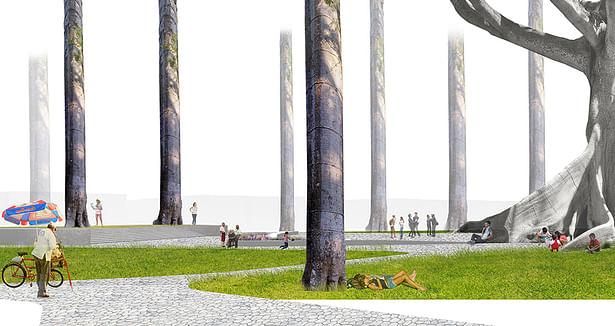 Elevating of Macondo tree on both symbolic and poetic pedestal reversing its cultural association with solitude. Undulating lines of the base of the Ceiba are seemlessly integrated into the plaza design