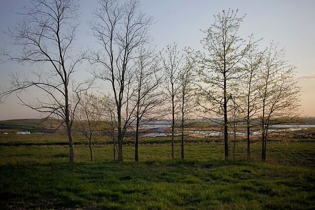 Photo by Kipp Wettstein, courtesy of the City of New York: NYC Parks, Freshkills Park, and the Department of Sanitation