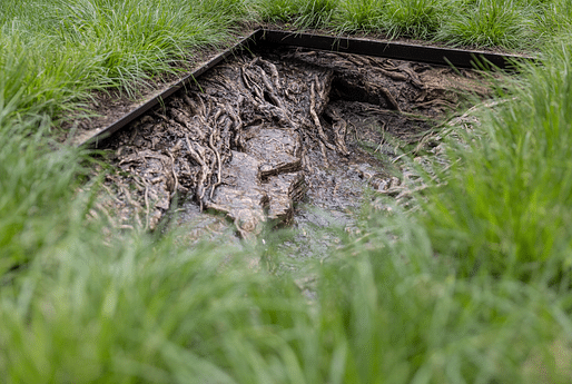 Cristina Iglesias, Landscape and Memory, 2022. Courtesy of the artist and Madison Square Park Conservancy. Photo: Rashmi Gill.