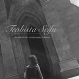 Teobista Seifu