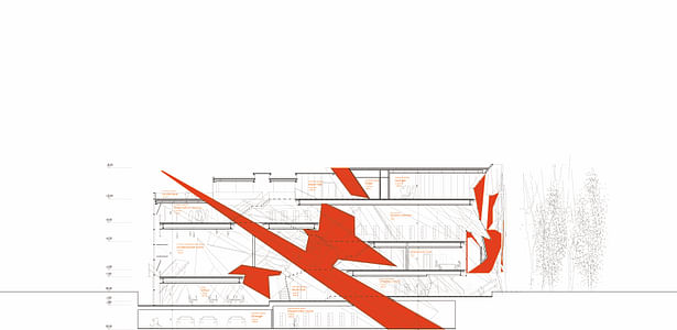 Longitudinal section