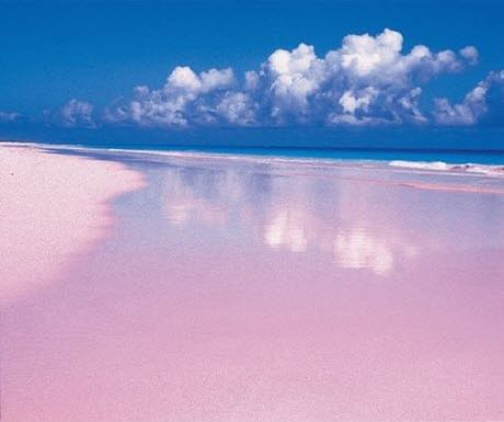 Palmetto Pink Sand Beach 