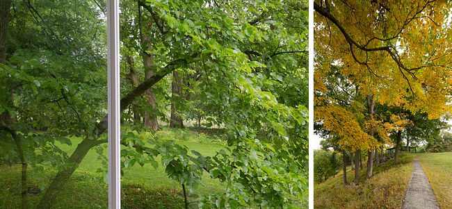 Dyptych VIII © Robin Hill 2014.