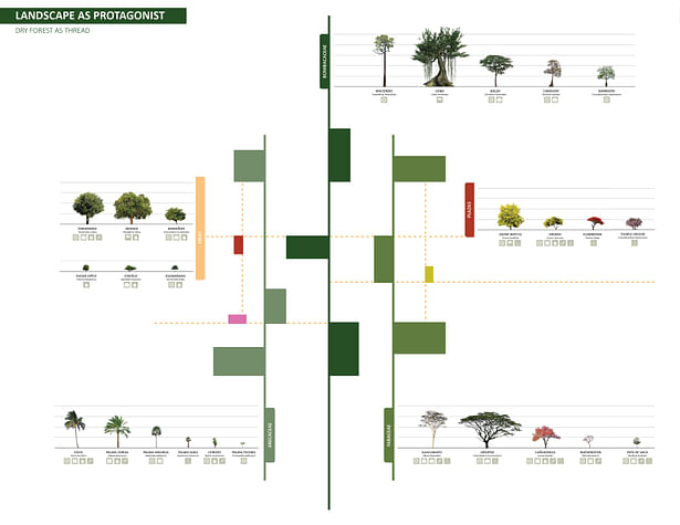 Conceptual diagram of planting scheme supplementing the existing lines of vegetation to unite the ‘dispersed pearls’ of the city. Dryfo Urbanism places landscape as the protagonist of urbanization instead of another top-down modernist or informal patchwork design