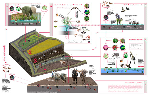 Subak ecology web, image via Julia Watson