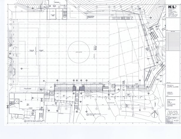 Field level and Roof Plan