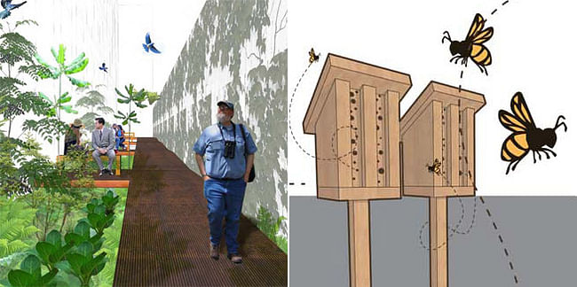 The two winning entries of the Homegrown Design Challenge in Toronto: 'Carolinian Way' and 'DIY backyard bee hotels'