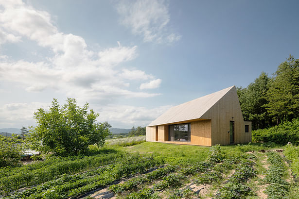 Shear House by stpmj, Photo: Song Yousub