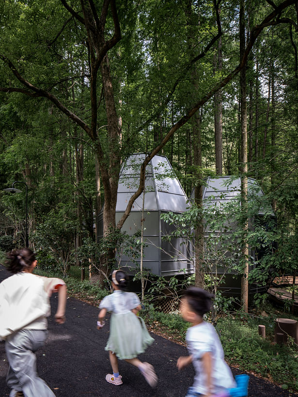 Pinecone Cabin ©Chen Xi Studio