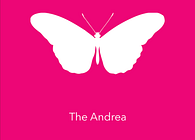 The ANDREA