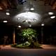 A live green space with a solar canopy and Lowline technology overhead from the 'Imagining the Lowline' exhibit in NYC. Photo via Kickstarter. 