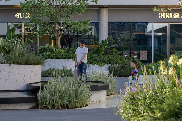 Water features add interest to the dining garden ©Nancy Studio