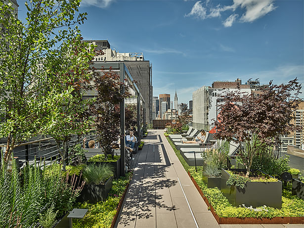 Wood benches strategically surrounded by greenery create outdoor rooms. 