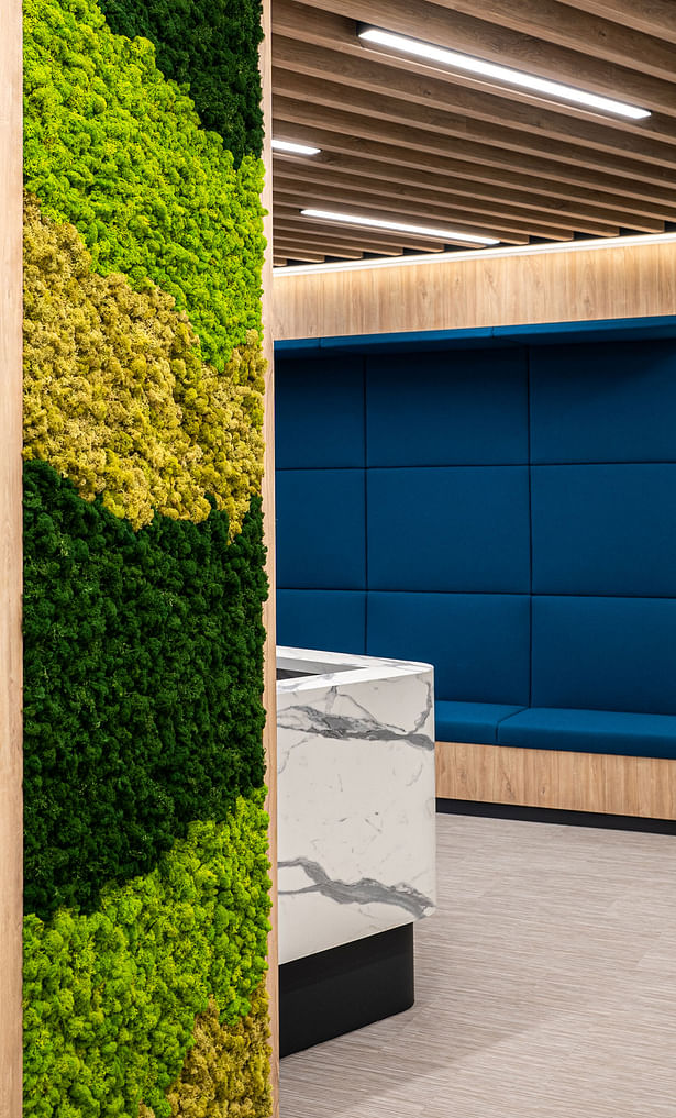 Corporate office design ideas - Forrester Singapore with green wall, designed by Space Matrix