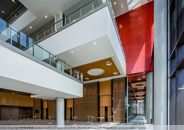 A four-storey high foyer space creates a continuous visual connectivity within the glass box