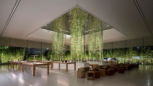 Apple Store, Macau, Sands Cotai: Interior of retail floor with bamboo planters. Photo © Nigel Young/Foster+Partners.