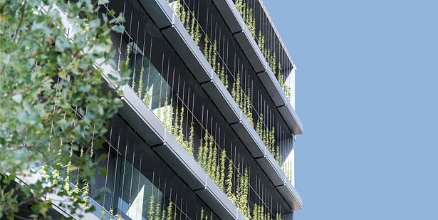 A Layer of Greenery in Southern Façade
