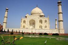 The Taj Mahal, yellowed by smog, is getting a restorative mud mask