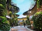 Singapore's Changi Airport gets travelers back to nature with biophilic Terminal 2 renovation