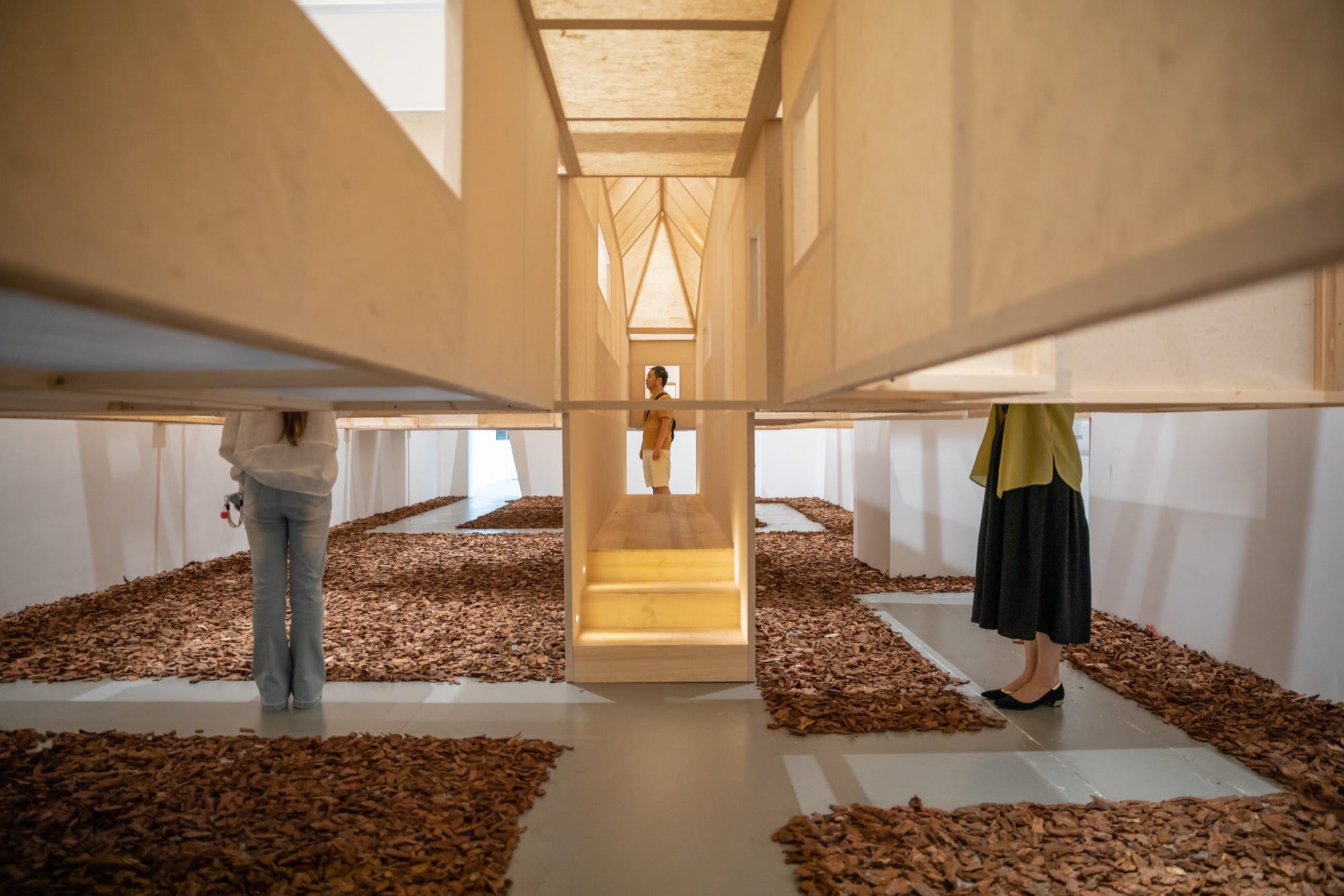 Paper and pinewood form c+d studio's Shanghai museum installation