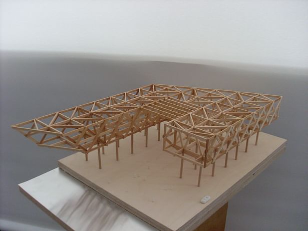 analog model structural design