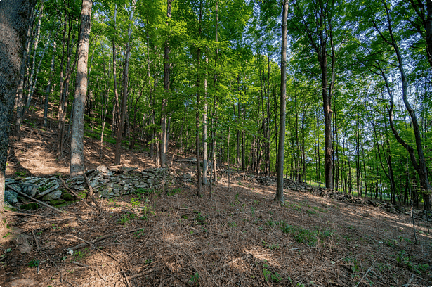 Build site for the home, showing intersection of stone walls.