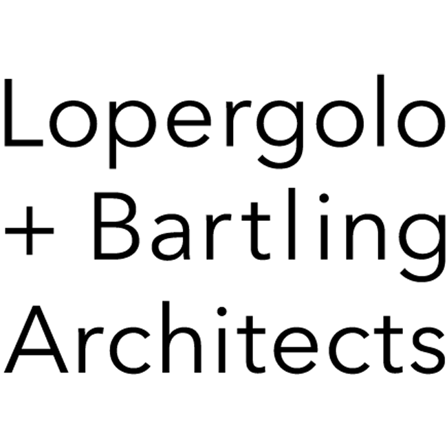Senior Project Architect