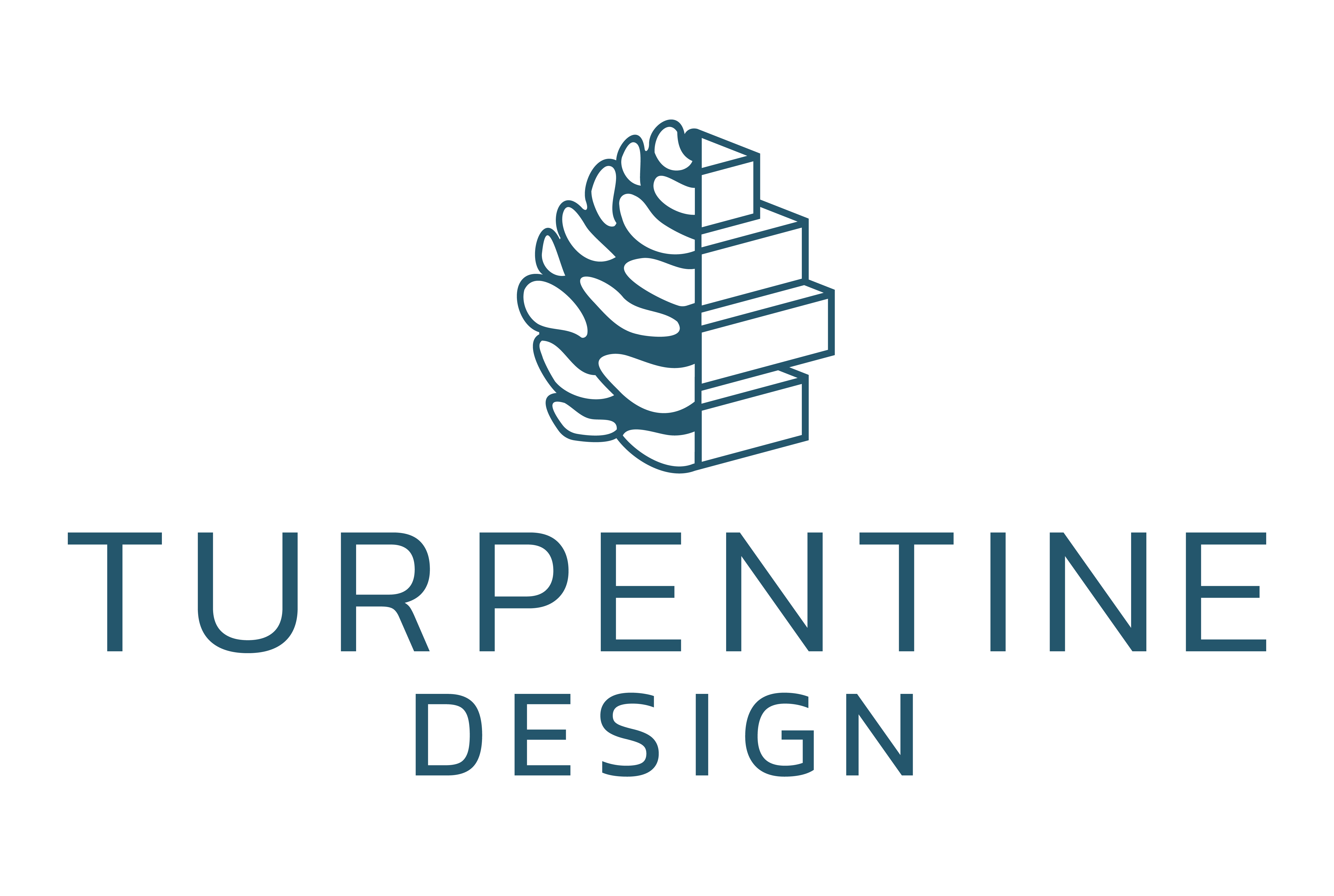 Project Architect
