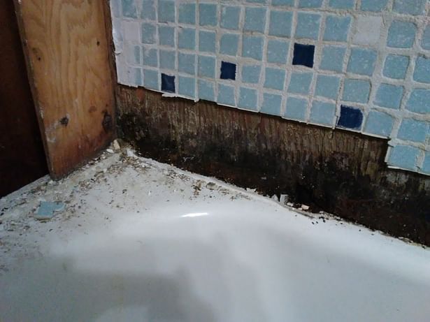 Investigation revealed wet& rotting plywood behind the tiled bath surround (and indicates an ongoing leak).