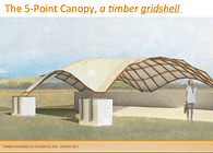 Timber Canopy Project