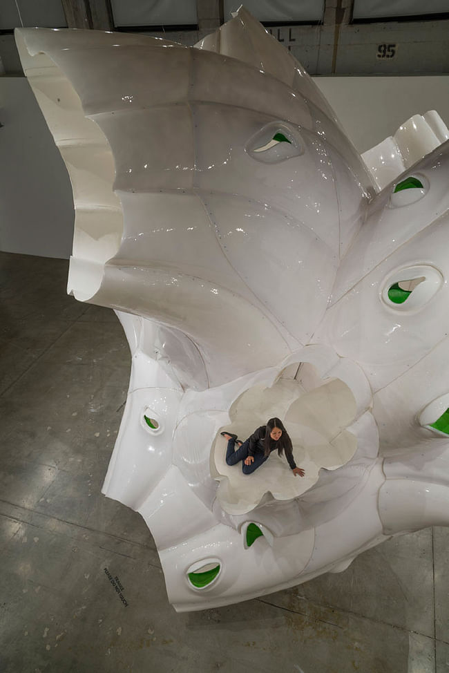 'Apertures' by Baumgartner+Uriu. Photo: Joshua White