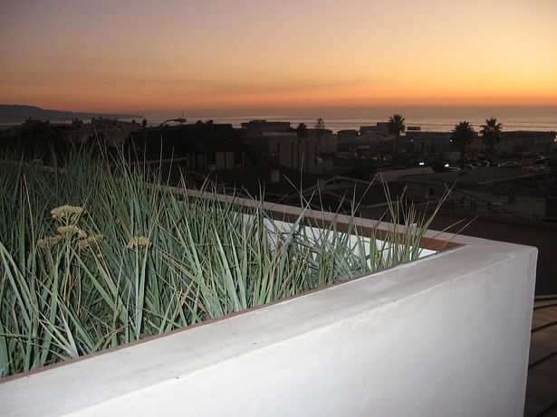 green roof at sunset