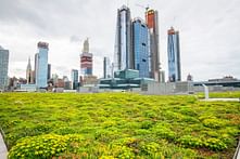 New York's roofs may get a lot greener soon