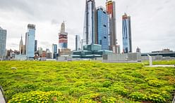 New York's roofs may get a lot greener soon