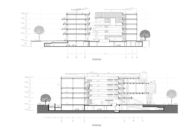 section ©FEI Architects