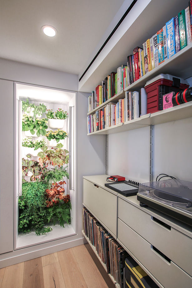 Records, Books, and a Greenhouse Wall are the Focus in this Study